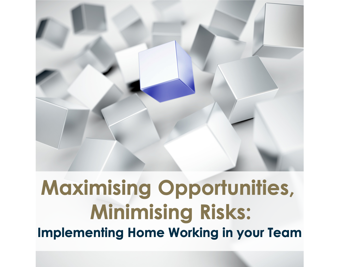 Maximising Opportunities, Minimising Risks: Implementing Home Working in Your Business